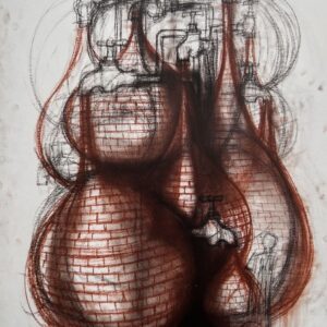 Javier Balmaseda : El agua y la forma