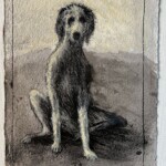 Un chien sans collier. Dessin. 40X30 cm Un chien sans collier. Dessin. 40X30 cm